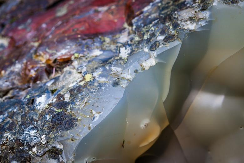 Free stock image of Colorful Jasper Stone Surface created by Free Texture Friday