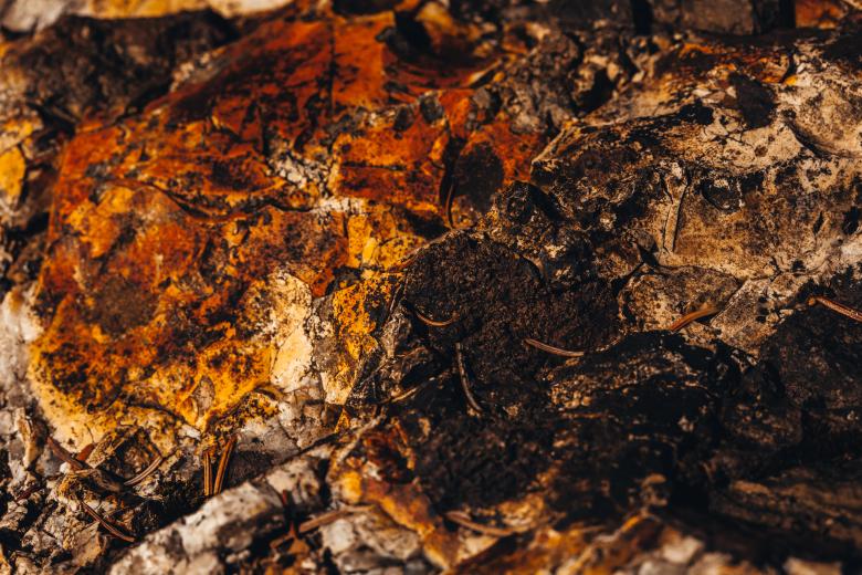 Free stock image of Orange Grunge Stone Texture created by Free Texture Friday
