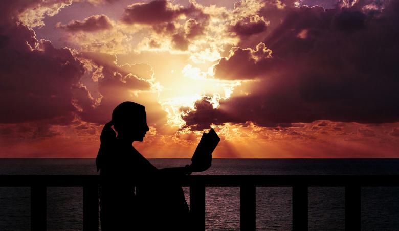 Free stock image of Woman Reading at Dusk created by mohamed hassan