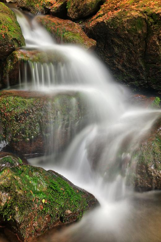 Free stock image of Pritchard Falls created by Nicolas Raymond