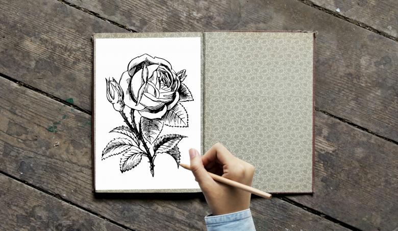Free stock image of Coloring book with Rose created by mohamed hassan