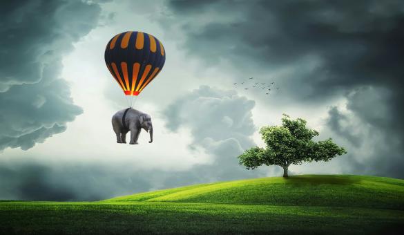 Elephant in Balloon - Free Stock Photo