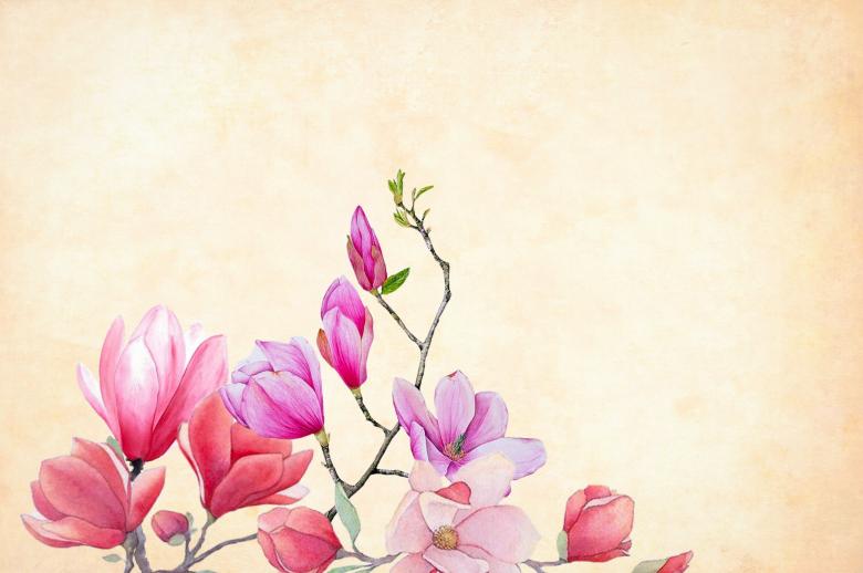 Free stock image of Floral Background Illustration created by mohamed hassan