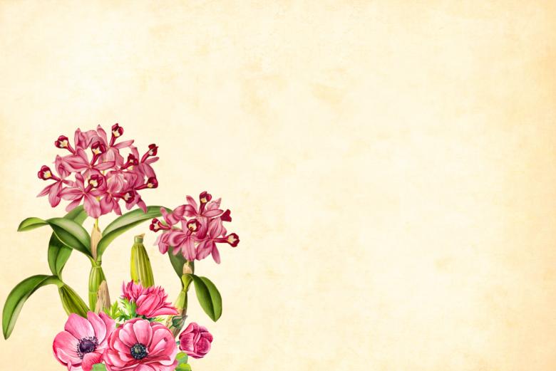 Free stock image of Grunge Floral Background created by mohamed hassan