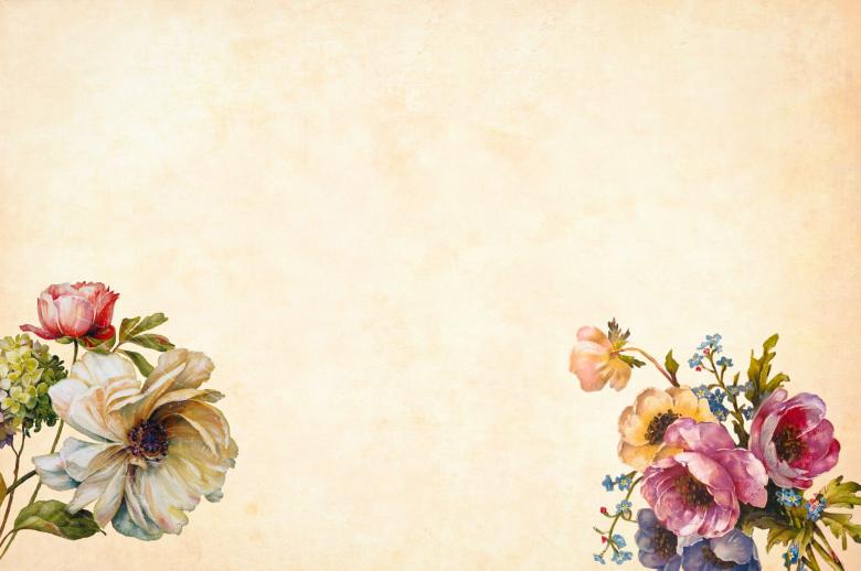 Free stock image of Vintage Floral Illustration created by mohamed hassan