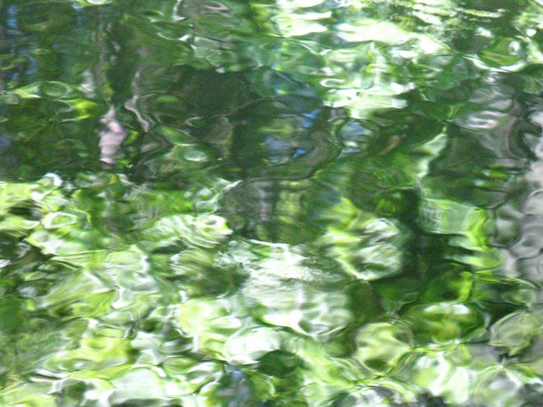 Free stock image of Trees Reflected in Rippling Pond Surface created by Lindy Thibodaux