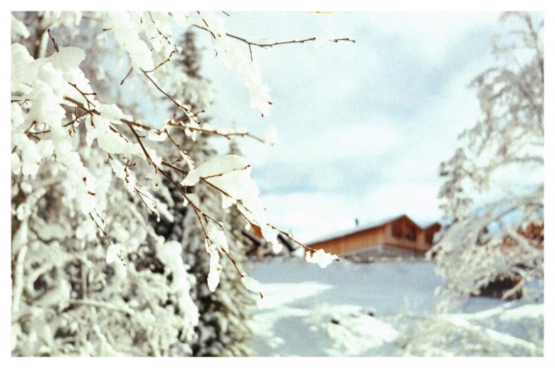 Free stock image of Winter Cabin created by Furio Franceschinel