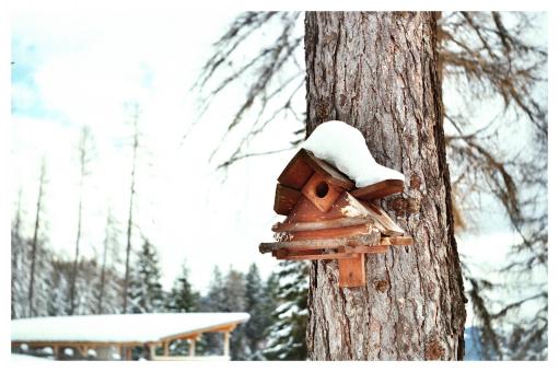 Birdhouse in Winter