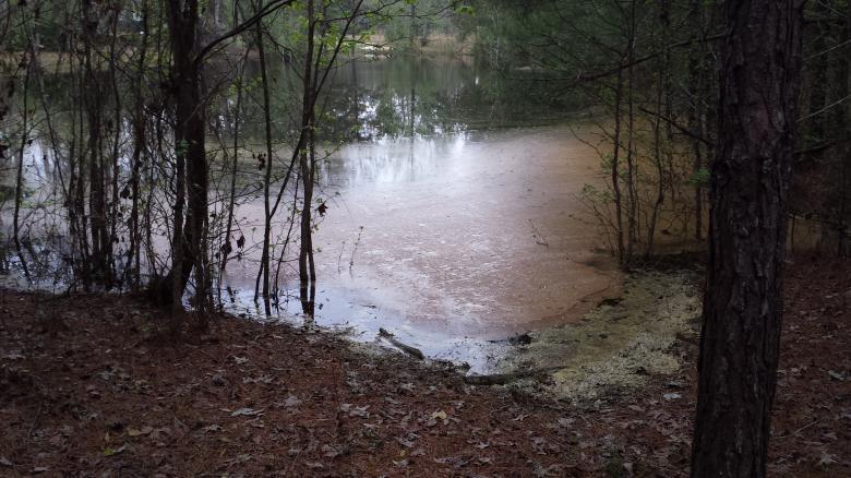 Free stock image of Pond created by LAURA ZIMMERMAN