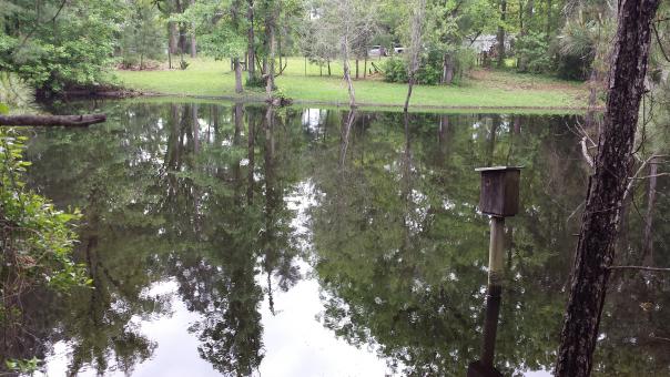 Country Reflections - Free Stock Photo