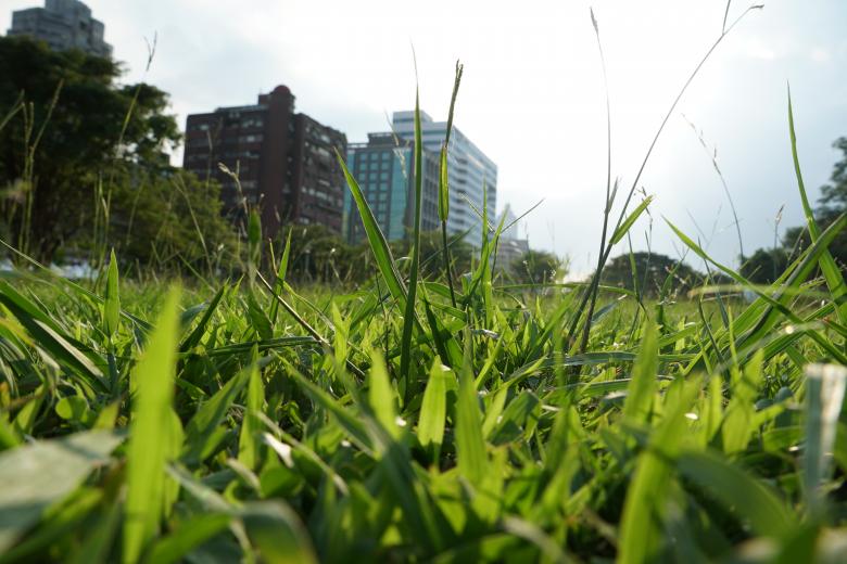 Free stock image of  Central Art Park in Taipai created by Weng Bee