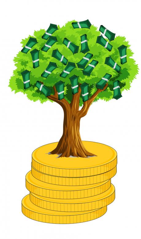 Free stock image of Money Tree created by mohamed hassan