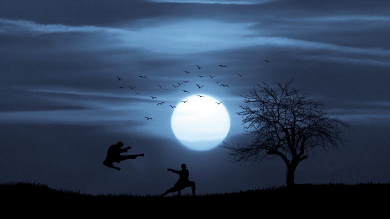 Free stock image of Kung Fu Combat created by mohamed hassan