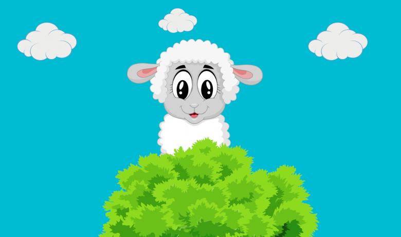 Free stock image of Eid al adha created by mohamed hassan