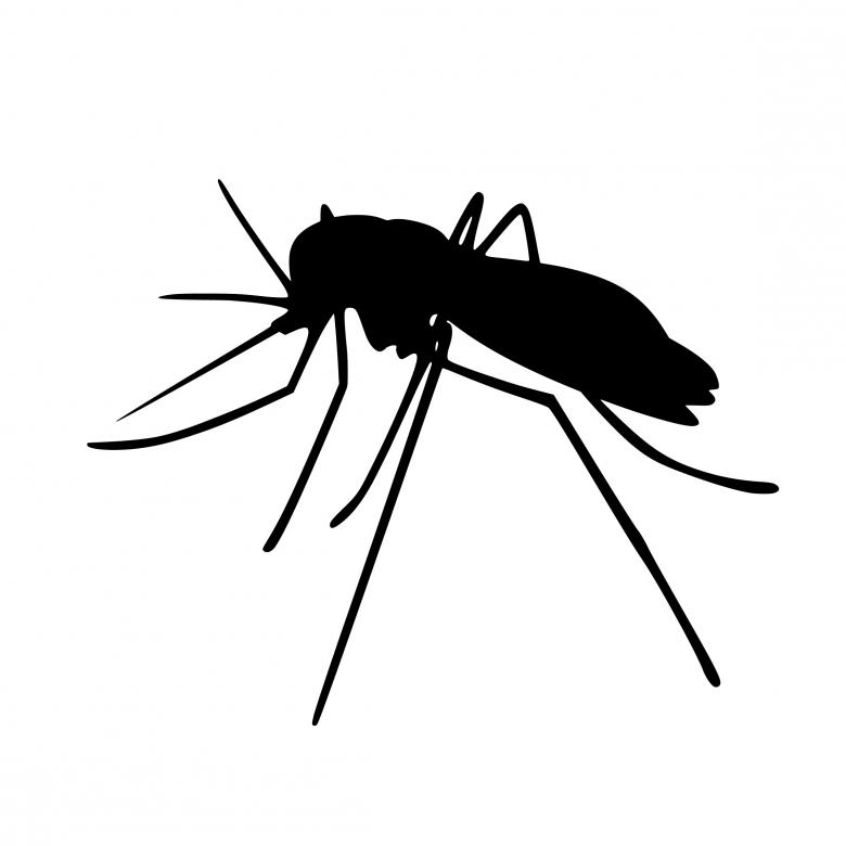 Free stock image of Mosquito Silhouette created by mohamed hassan