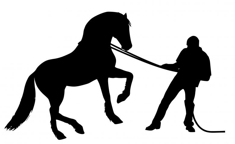 Free stock image of Horse Training Silhouette created by mohamed hassan