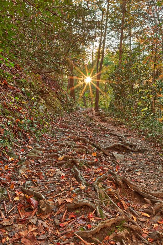 Free stock image of Smoky Mountain Sunburst Trail created by Nicolas Raymond
