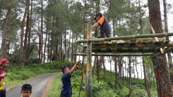 Constructing Tree Platform in Indonesia - Free Stock Photo