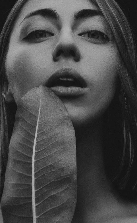 Free stock image of Woman with Leaf created by Alexander Krivitskiy