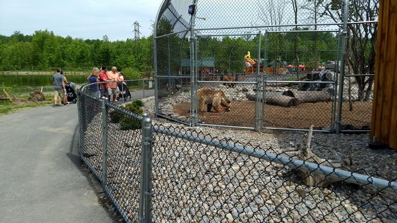 Free stock image of Bear in Chittenango Zoo created by Ramanathan Veerappan