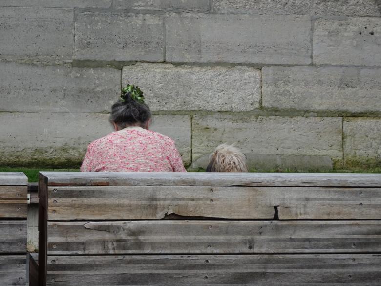 Free stock image of Like mommy, Like doggy... created by GAIMARD Jacques