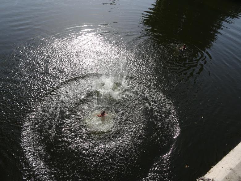 Free stock image of Jumping in dark waters created by GAIMARD Jacques