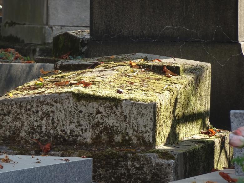 Free stock image of Moss covered grave, soft autumn light created by GAIMARD Jacques
