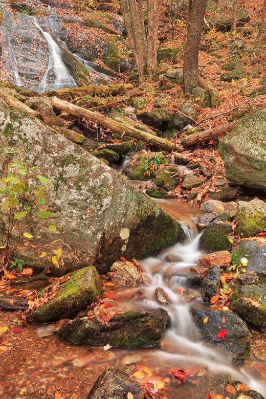 Free stock image of Rugged Autumn Wigwam Creek created by Nicolas Raymond