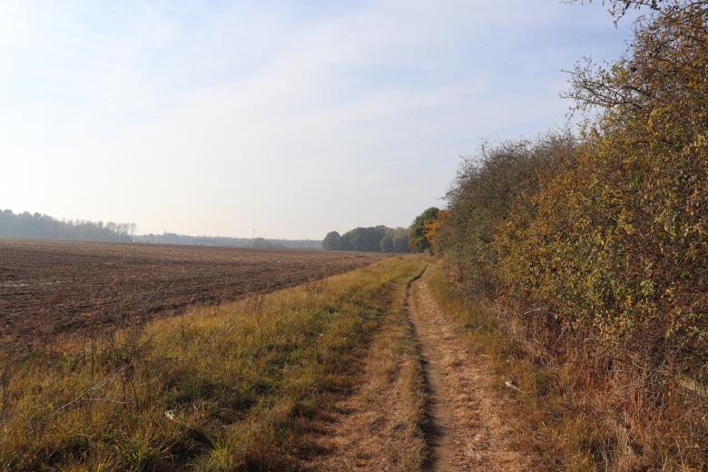 Free stock image of Autumn light in a field created by GAIMARD Jacques