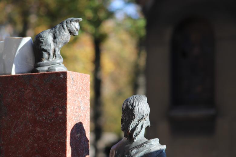 Free stock image of Scrutinizing the Christ... created by GAIMARD Jacques