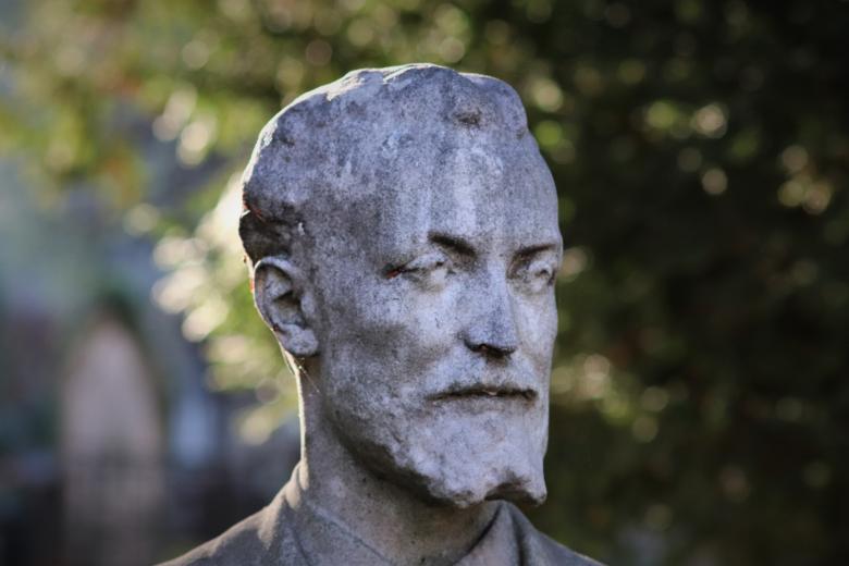 Free stock image of Strong personality... Judging by the face! created by GAIMARD Jacques
