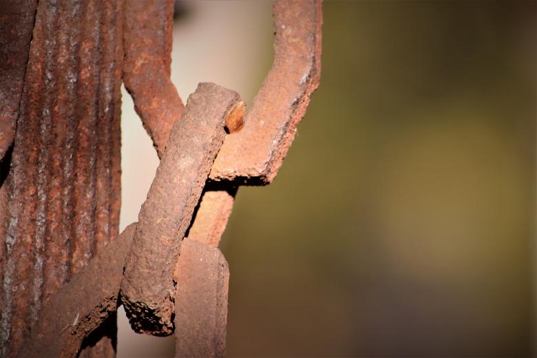 Free stock image of Rusted chain ornamenting a grave created by GAIMARD Jacques