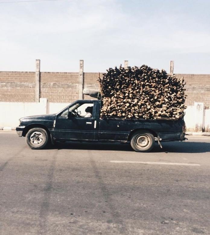Free stock image of Beast of burden created by Kash Charm