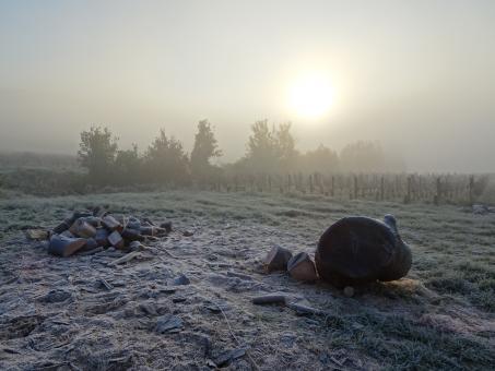 Free Stock Photo of Foggy and freezing morning in the country