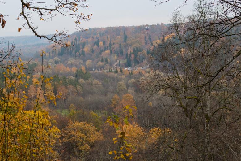 Free stock image of A View of Fall created by Janis Urtans