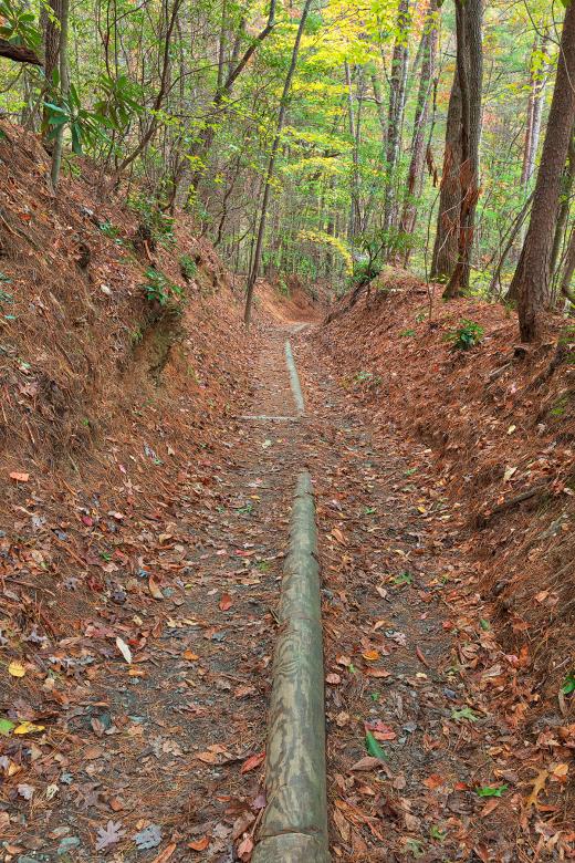 Free stock image of Juney Whank Forest Trail created by Nicolas Raymond