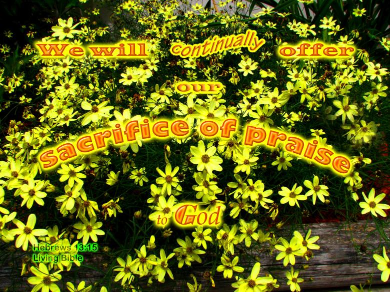 Free stock image of Sacrifice of Praise created by DFNatureAwed