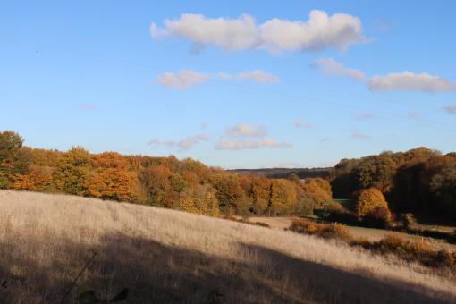 Free Stock Photo of Typical autumn landscape in the country