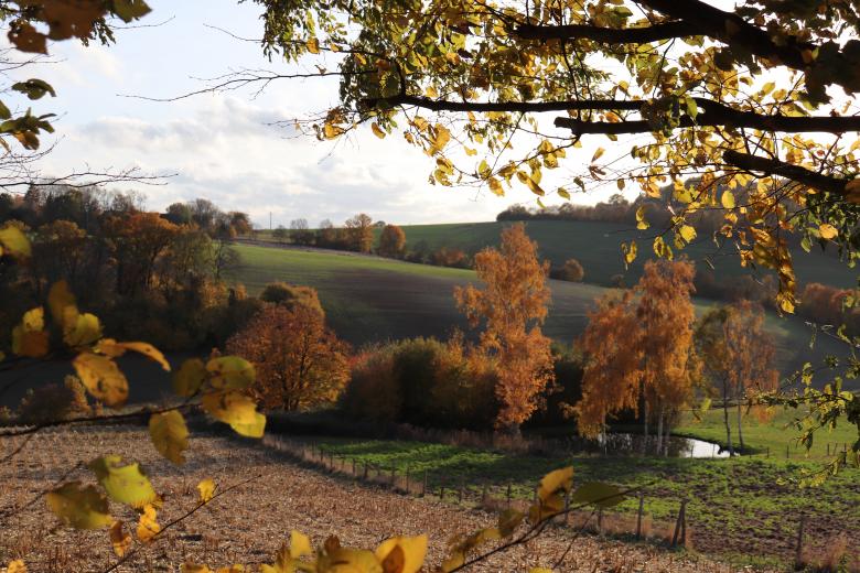 Free stock image of Autumn Landscape created by GAIMARD Jacques