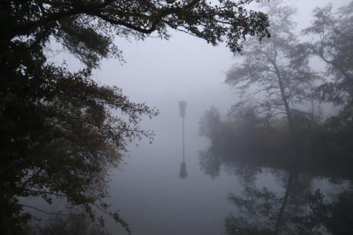 Misty river - Free Stock Photo
