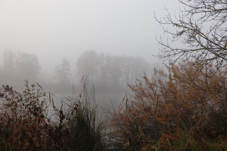 Free stock image of Misty river bank created by GAIMARD Jacques