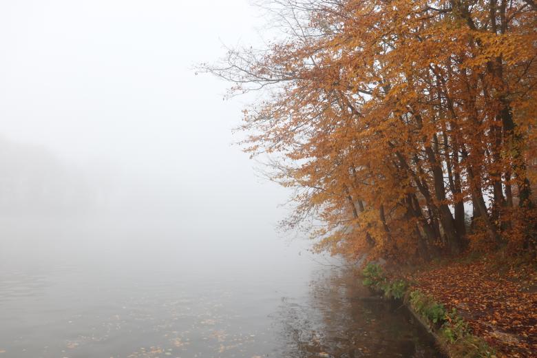 Free stock image of Autumn river and trees created by GAIMARD Jacques