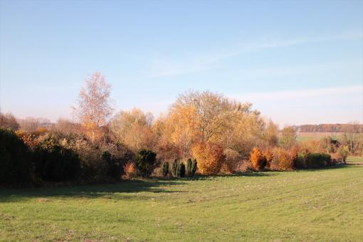 Free Stock Photo of Landscape in Autumn