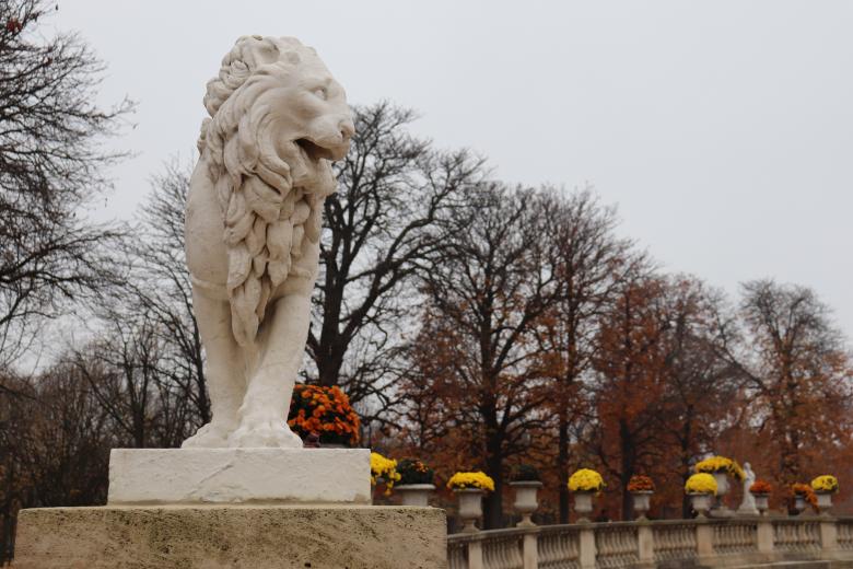 Free stock image of Lion stone sculpture created by GAIMARD Jacques