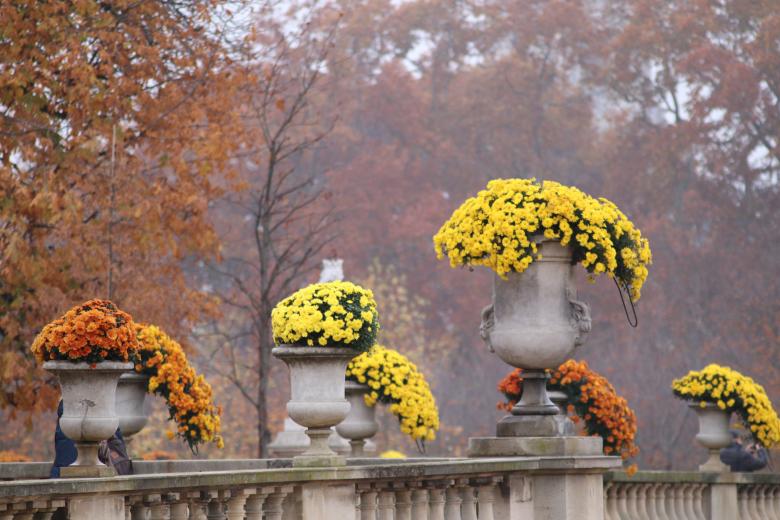 Free stock image of Outdoors Potted Flowers created by GAIMARD Jacques