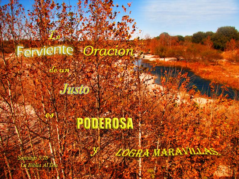 Free stock image of Ferviente Oracion created by DFNatureAwed