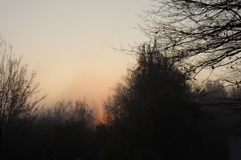 Free stock image of Wood fire or sunrise? created by GAIMARD Jacques