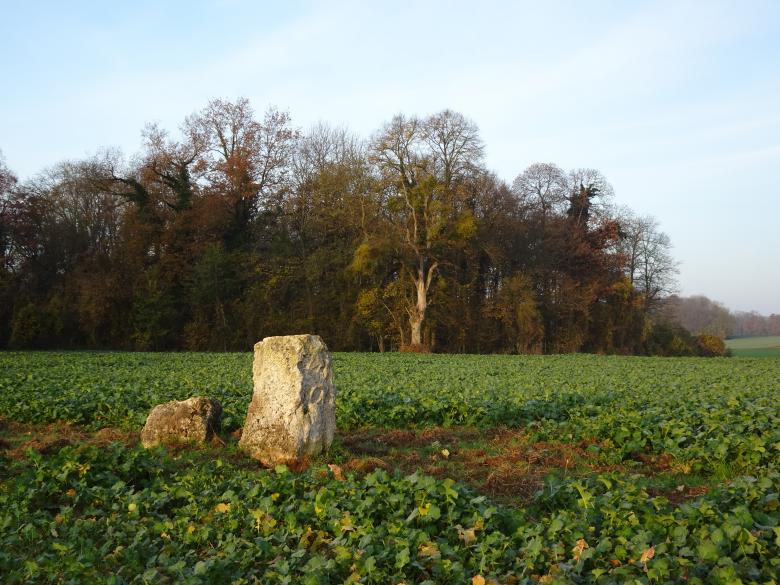 Free stock image of Ancient stone landmark on a field created by GAIMARD Jacques