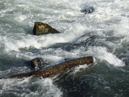Free Stock Photo of Tree trunk in the furious stream...
