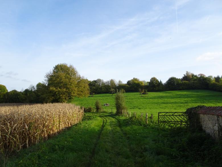 Free stock image of Typical early autumn landscape created by GAIMARD Jacques